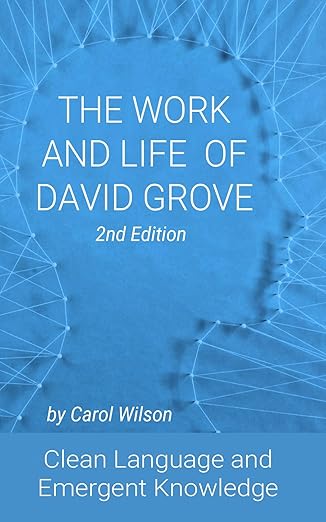 The Work and Life of David Grove; Clean Language and Emergent Knowledge.